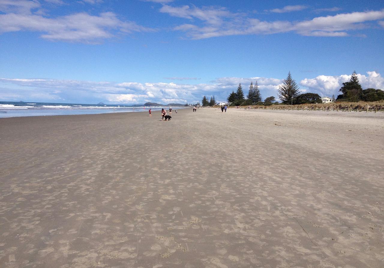 The Crescent Bnb Waihi Exterior photo